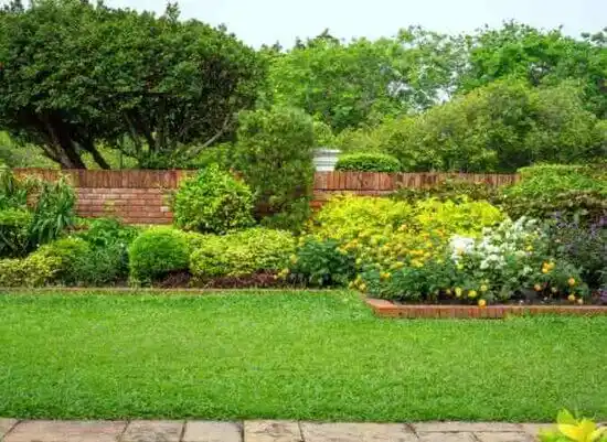 landscaping services Mineral City